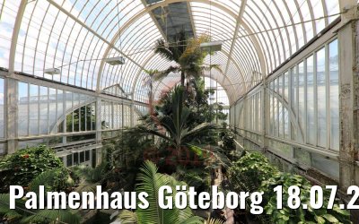 Palmenhaus Göteborg 18.07.2019