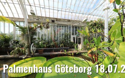 Palmenhaus Göteborg 18.07.2019