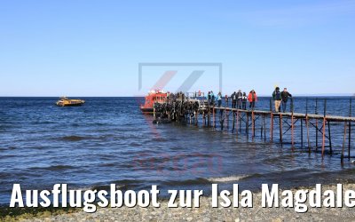 Ausflugsboot zur Isla Magdalena, Chile 06.02.2020