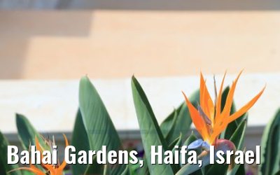 Bahai Gardens, Haifa, Israel