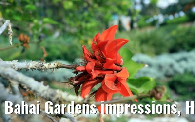Bahai Gardens impressions, Haifa