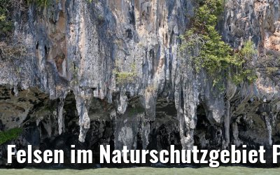 Felsen im Naturschutzgebiet Phang Nga