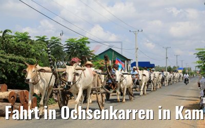 Fahrt in Ochsenkarren in Kampong Tralach 14.04.2017