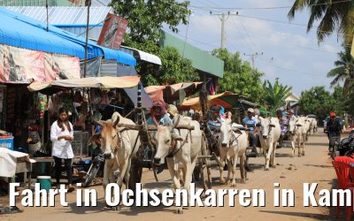 Fahrt in Ochsenkarren in Kampong Tralach 14.04.2017