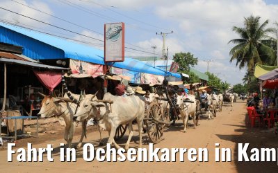 Fahrt in Ochsenkarren in Kampong Tralach 14.04.2017