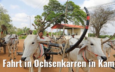 Fahrt in Ochsenkarren in Kampong Tralach 14.04.2017