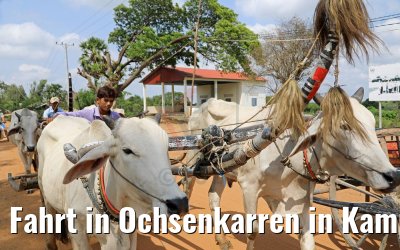 Fahrt in Ochsenkarren in Kampong Tralach 14.04.2017
