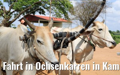 Fahrt in Ochsenkarren in Kampong Tralach 14.04.2017
