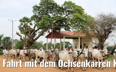 Fahrt mit dem Ochsenkarren Kampong Tralach 14.04.2017