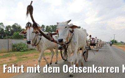 Fahrt mit dem Ochsenkarren Kampong Tralach 14.04.2017