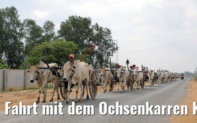 Fahrt mit dem Ochsenkarren Kampong Tralach 14.04.2017