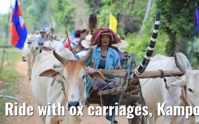 Ride with ox carriages, Kampong Tralach 14.04.2017