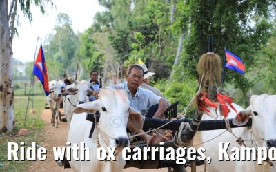 Ride with ox carriages, Kampong Tralach 14.04.2017