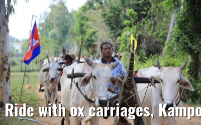 Ride with ox carriages, Kampong Tralach 14.04.2017