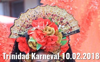 Trinidad Karneval 10.02.2018