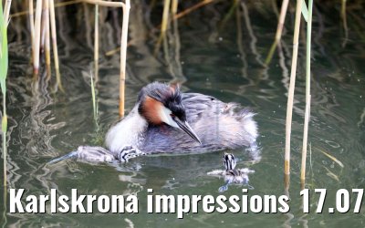 Karlskrona impressions 17.07.2018