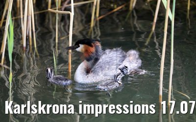 Karlskrona impressions 17.07.2018