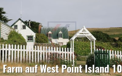 Farm auf West Point Island 10.02.2020