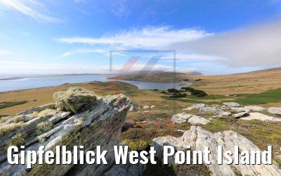 Gipfelblick West Point Island 10.02.2020