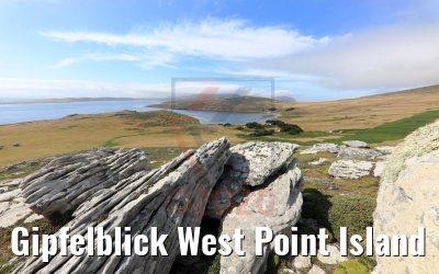 Gipfelblick West Point Island 10.02.2020