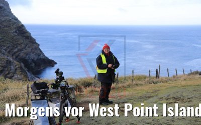 Morgens vor West Point Island 10.02.2020