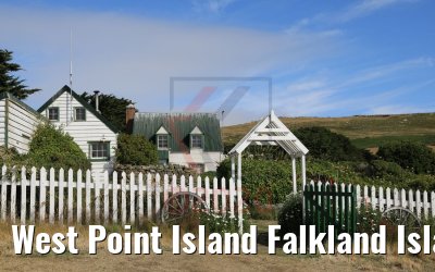 West Point Island Falkland Islands impressions 10.02.2020