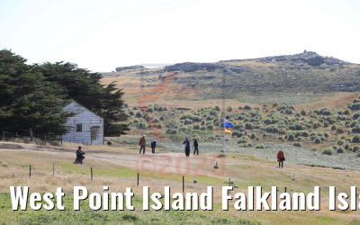 West Point Island Falkland Islands impressions 10.02.2020