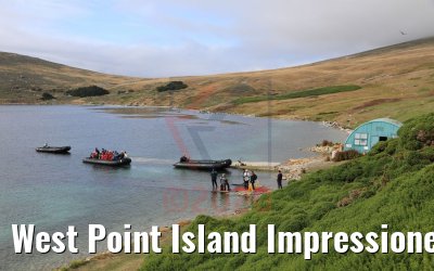 West Point Island Impressionen 10.02.2020