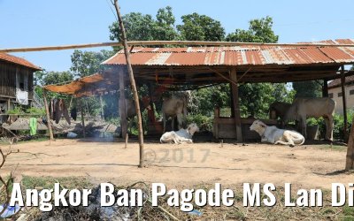 Angkor Ban Pagode MS Lan Diep Mekong River Cruise 15.04.2017