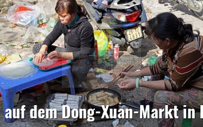 auf dem Dong-Xuan-Markt in Hanoi