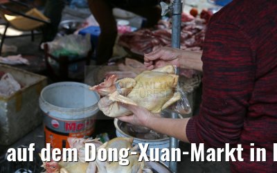 auf dem Dong-Xuan-Markt in Hanoi 07.02.2016