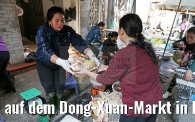 auf dem Dong-Xuan-Markt in Hanoi 07.02.2016