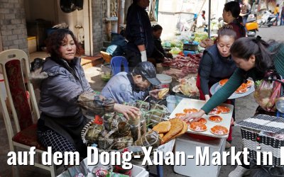 auf dem Dong-Xuan-Markt in Hanoi 07.02.2016