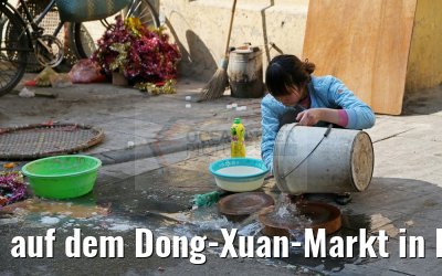 auf dem Dong-Xuan-Markt in Hanoi 07.02.2016