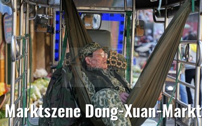 Marktszene Dong-Xuan-Markt Hanoi 07.02.2016