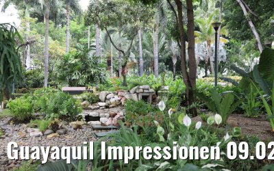 Guayaquil Impressionen 09.02.2019