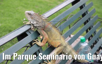 Im Parque Seminario von Guayaquil, Ecuador 09.02.2019