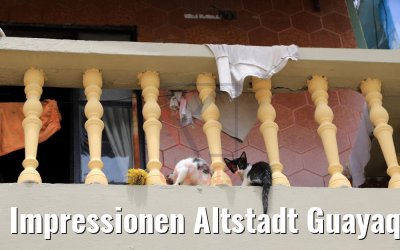 Impressionen Altstadt Guayaquil, Ecuador 09.02.2019