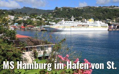 MS Hamburg im Hafen von St. George´s, Grenada 12.02.2018