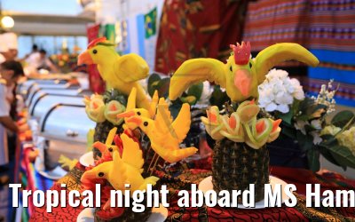 Tropical night aboard MS Hamburg 10.02.2019