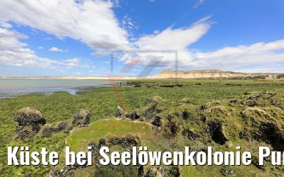 Küste bei Seelöwenkolonie Punta Loma, Puerto Madryn 12.02.2020