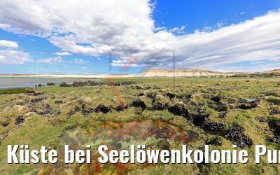 Küste bei Seelöwenkolonie Punta Loma, Puerto Madryn 12.02.2020