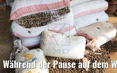 Während der Pause auf dem Weg nach Siem Reap 17.04.2017