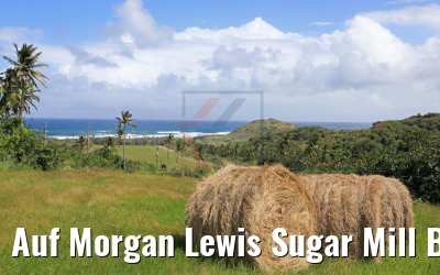 Auf Morgan Lewis Sugar Mill Barbados 13.02.2018