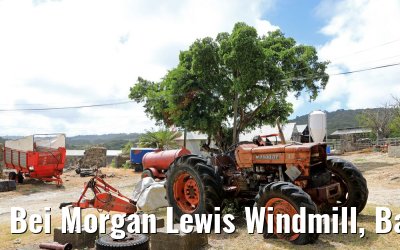Bei Morgan Lewis Windmill, Barbados 13.02.2018