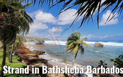 Strand in Bathsheba Barbados 13.02.2018