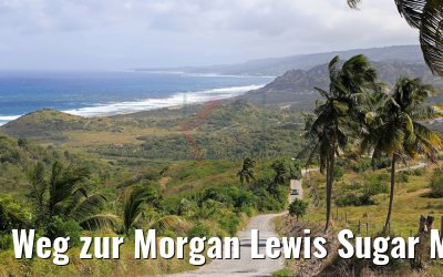 Weg zur Morgan Lewis Sugar Mill, Barbados 13.02.2018