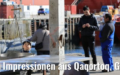 Impressionen aus Qaqortoq, Grönland