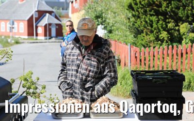 Impressionen aus Qaqortoq, Grönland