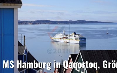 MS Hamburg in Qaqortoq, Grönland